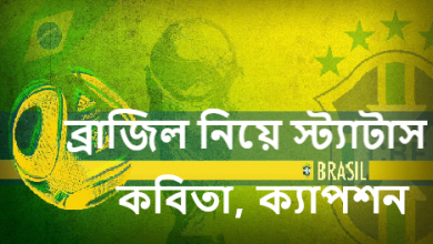 ব্রাজিল নিয়ে স্ট্যাটাস