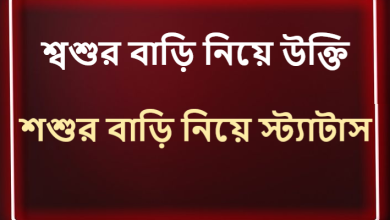 শ্বশুর বাড়ি নিয়ে উক্তি