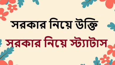সরকার নিয়ে স্ট্যাটাস