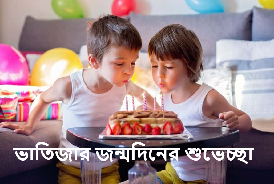 ভাতিজার জন্মদিনের শুভেচ্ছা