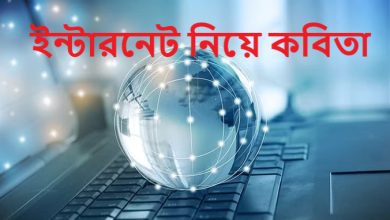 ইন্টারনেট নিয়ে কবিতা
