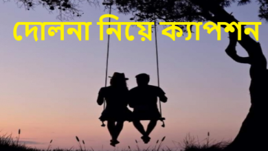 দোলনা নিয়ে কবিতা