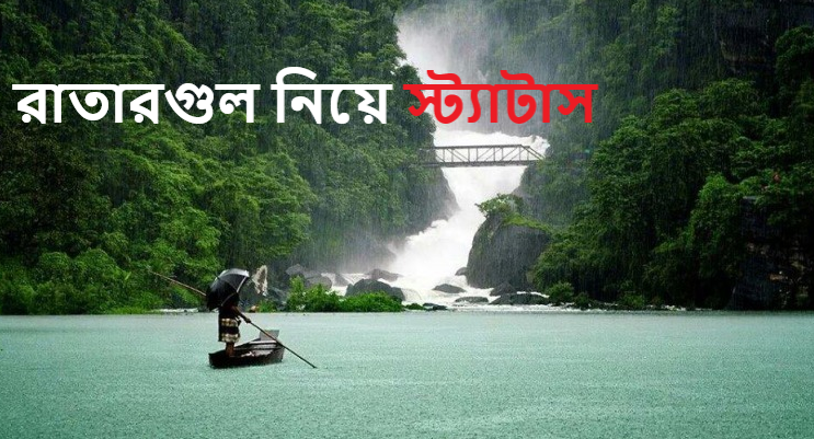 রাতারগুল নিয়ে স্ট্যাটাস