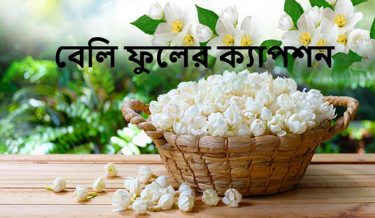 বেলি ফুলের ক্যাপশন