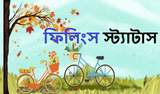 ফিলিংস স্ট্যাটাস