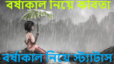 বর্ষাকাল নিয়ে স্ট্যাটাস