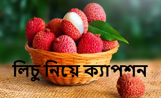 লিচু নিয়ে ক্যাপশন